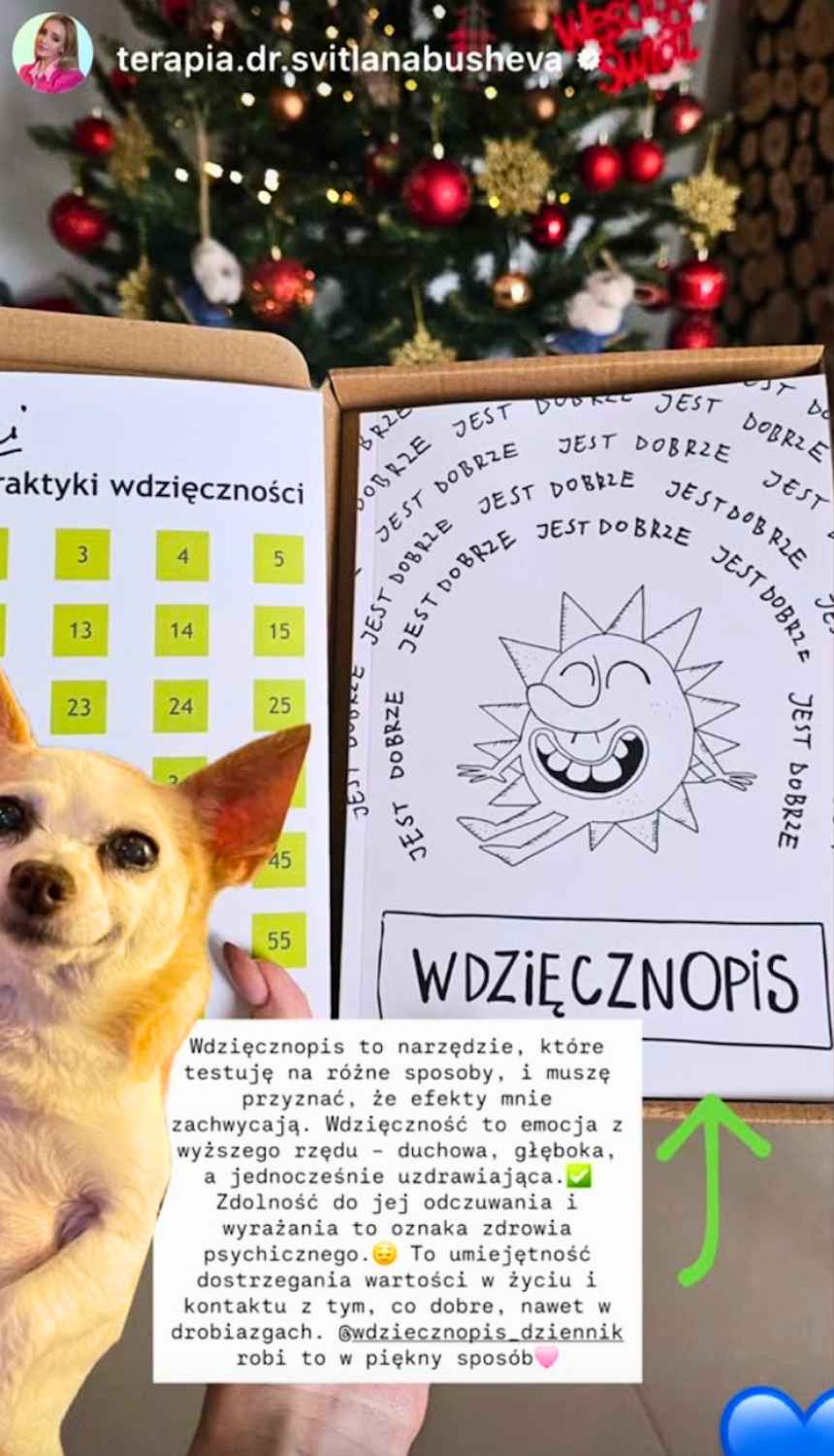 Dziennik Wdziecznosci Wdziecznopis opinia 1